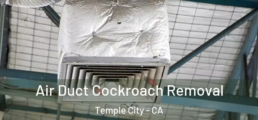 Air Duct Cockroach Removal Temple City - CA