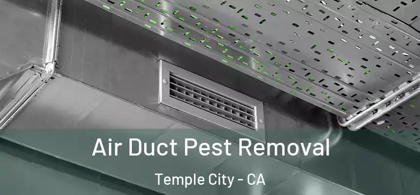  Air Duct Pest Removal Temple City - CA