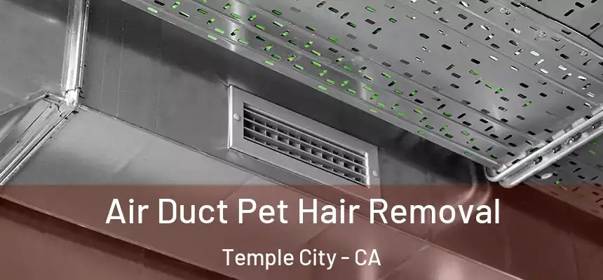 Air Duct Pet Hair Removal Temple City - CA