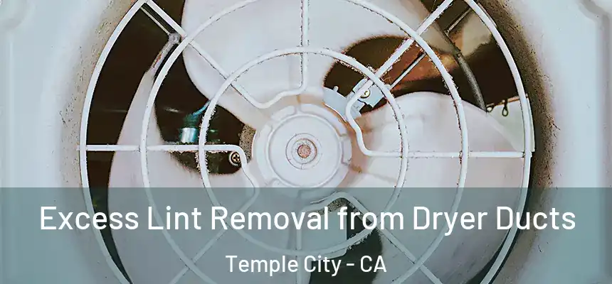  Excess Lint Removal from Dryer Ducts Temple City - CA