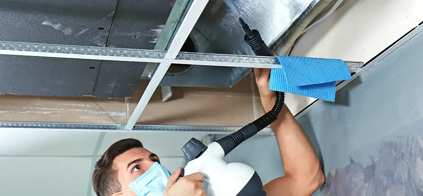 Our Air Duct Rodent Removal Services in Temple City, CA