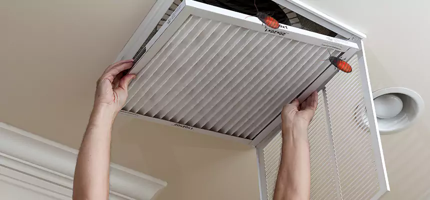 Our Insect Removal from Air Ducts Services in Temple City, CA