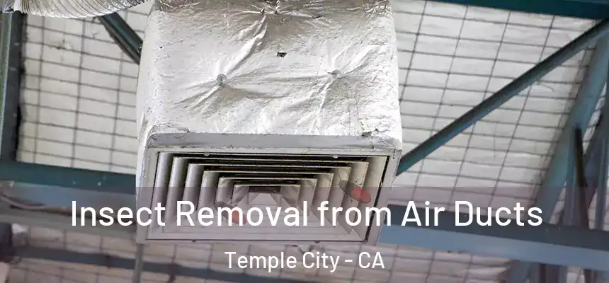  Insect Removal from Air Ducts Temple City - CA