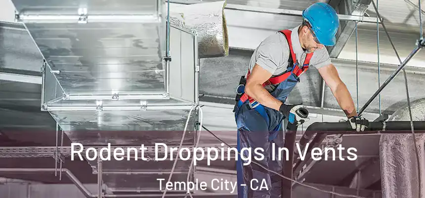 Rodent Droppings In Vents Temple City - CA