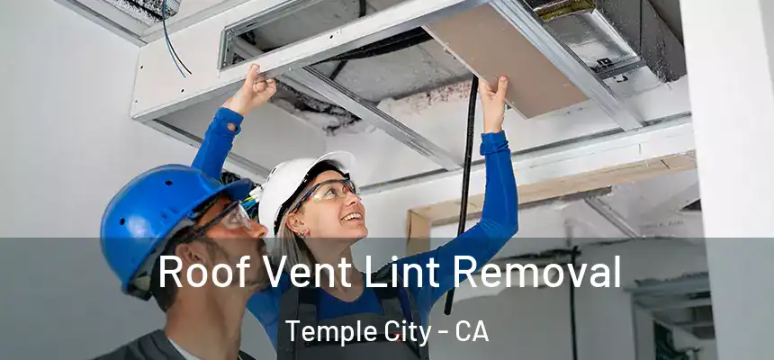  Roof Vent Lint Removal Temple City - CA