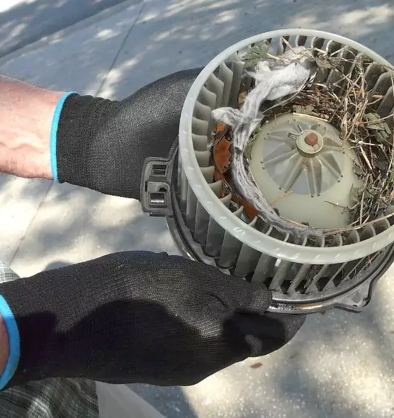 About Air Duct Rat Removal in Temple City, CA