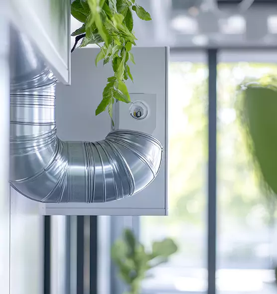 Professional Eco-Safe Dryer Vent Cleaning in Temple City, CA