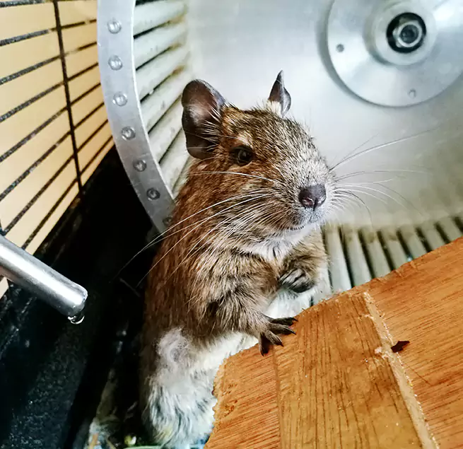 Why Homeowners & Businesses Trust Us Temple City, CA